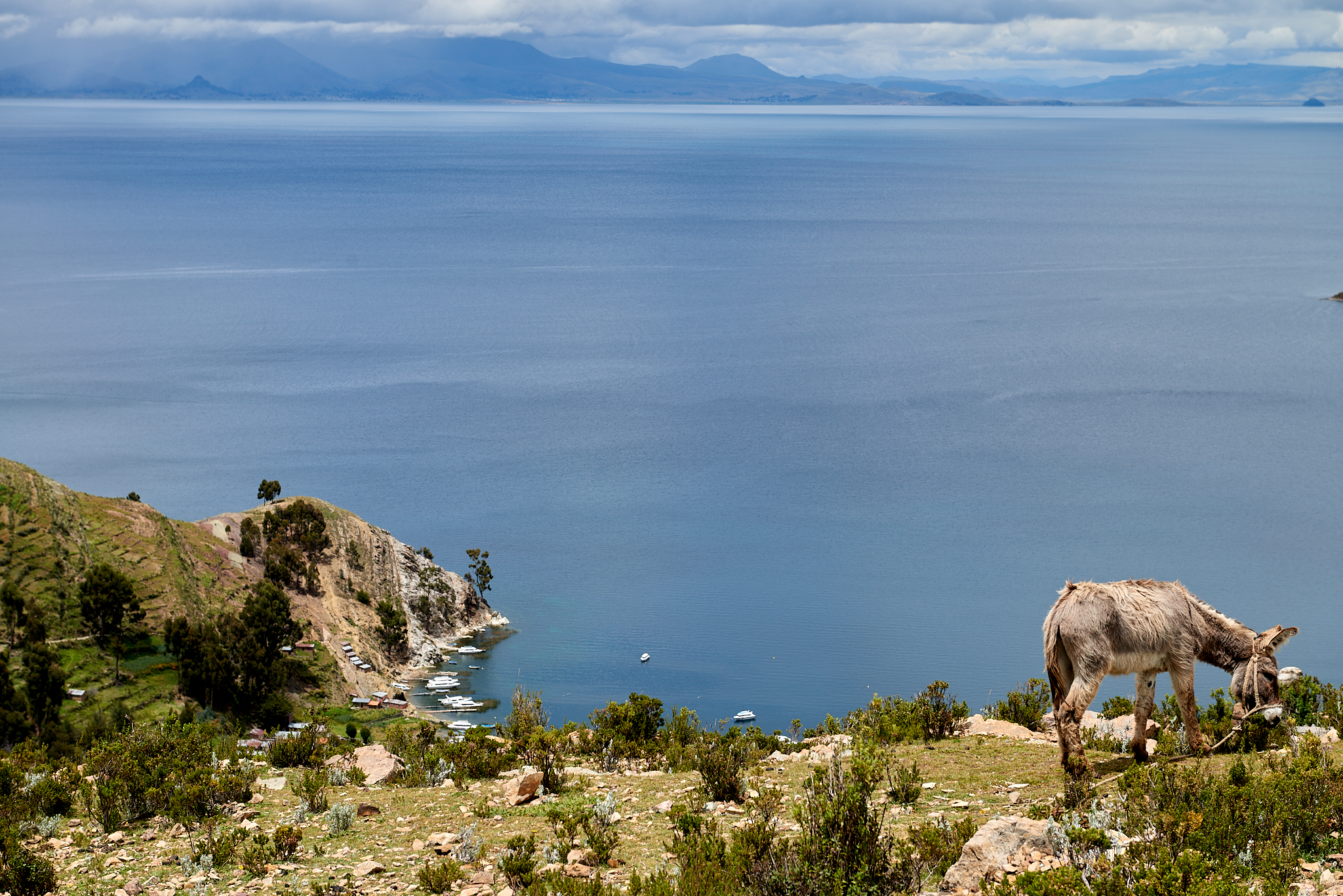 20200310 038 [볼리비아] 티티카카호수